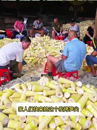 #碳烤笋尖 #笋尖 #笋尖推荐