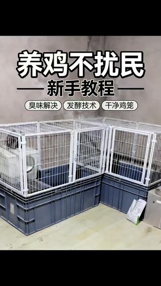 别人养鸡臭烘烘,
我养鸡香飘飘!
不用冲粪不用扫,就是发酵粉的作用#萌宠养殖计划 #新手养小鸡 #阳台养鸡