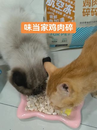 #味当家 #鸡肉碎 #宠物零食 这款鸡肉碎真的猫咪超爱的,实惠,品质又好,而且还是100%纯鸡肉冻干碎#鸡肉冻干