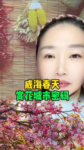 #威海同城#威海赏花攻略 #威海人#威海生活 @@观威海 @慧眼🏆观威海 @威海大众网