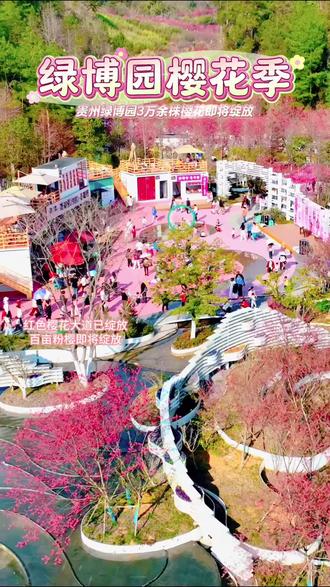 新春来贵州都匀,踏青赏花露营自驾好去处,一站式轻松溜娃,解锁新春新体验#都匀#贵州绿博园#春节#都匀旅游攻略#樱花