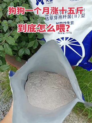 #养殖人加油 #狗狗长得好长得壮 #养殖人 #新手养狗 #养狗经验分享