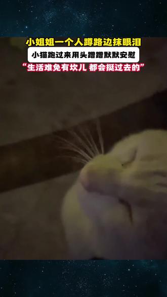 姑娘路边哭,流浪猫跑来蹭蹭安慰。猫咪:“姐姐别难过,再糟心的事也会翻篇,我陪着你呢。”#剪映 #画画 #插画 #感动瞬间 #画一个故事