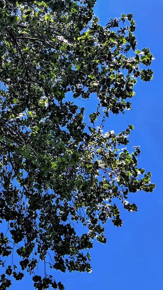 记录无法复刻的美好瞬间!
#镜头里的春日美景 #捕捉身边的春色
#我用摄影看世界 #春日打卡
泉城公园2026.4.10