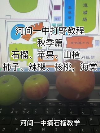 #河间一中 #抽象#高中#河北#打野 河间一中摘石榴教程,百万撤离