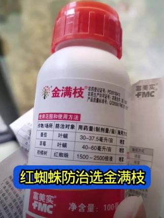 抗性红蜘蛛就用丁氟螨酯 #金满枝 #丁氟螨酯 #抗性红蜘蛛专用药 #抗性红蜘蛛防治 #红蜘蛛防治
