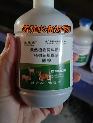 #牛羊养殖 #现场实拍 #好物推荐🔥