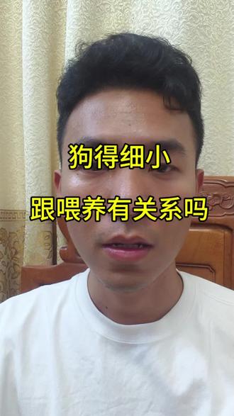 土狗得细小和喂养没有关系 它一定是要先被传染,才会得,不会自己在家喂着喂着就细小。#真实养狗经验分享 #土狗 #中华田园犬 #细小