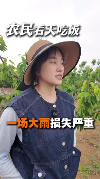 #真实生活分享计划 农民种地,看天吃饭。#新农人#樱桃#大连樱桃#瓦房店八里