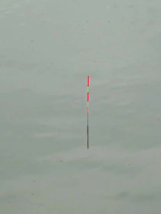 钩尖江湖腥香狂拉红虫蚯蚓二合一饵料一杯搞定低温鱼饵#爆护饵料 #冬天鲫鱼饵料配方 #钓鱼人 #鱼饵 #钓鱼技巧