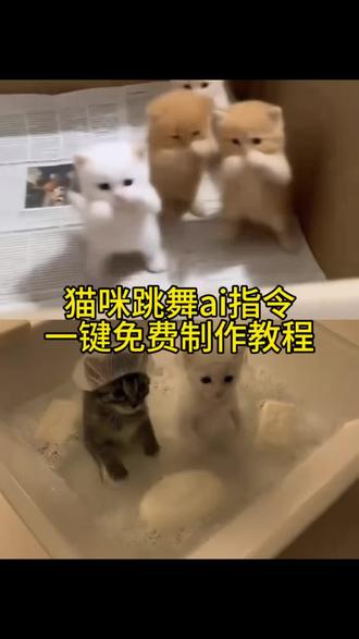 小猫跳舞ai指令教程 你一句ai就否定了小猫的努力萌妹要会卖萌要有可爱的尾音 小猫ai跳舞 小猫跳舞音乐 薯条猫跳舞猫咪咪摆手舞蹈的ai视频指令来啦!猫咪跳舞ai制作 哈基米跳舞ai指令 猫跳舞ai指令 猫meme摆手舞ai指令 薯条猫跳舞ai指令摸鼻子手势舞 小猫捂鼻子扇空气 猫ai跳舞一键生成入口 猫咪扭扭舞 薯条猫舞蹈教程 蝴蝶步猫咪ai小猫跳舞 ai小猫跳舞小猫在浴池里跳舞的ai指令视频教程来啦!小猫跳舞ai特效 小猫练了这么久的舞被説是ai小猫在浴池里跳舞ai指令 两只跳舞的猫猫咪a跳舞小猫ai跳舞完牣ai跳舞 猫咪跳舞视频ai指令教程#由小云雀seedance2.0制作 #小云雀AI #小云雀爆款马上成片 #小云雀seedance#用小云雀Agent短剧一键直出
