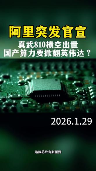 阿里真武810深入解读#芯片 #知识科普 @抖音小助手 @DOU+小助手