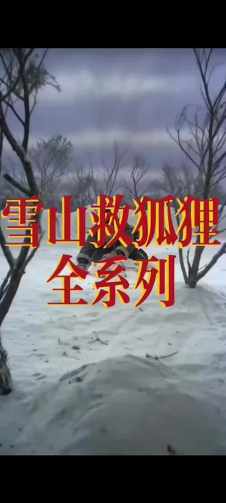 #雪山救狐给大家找齐了#一般人不告诉他 #野外生存 #用抖音记录人生 #邵氏电影 #我的写真尝试不同风格