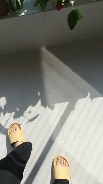 #草莓熟了 今天出太阳了,阳光明媚