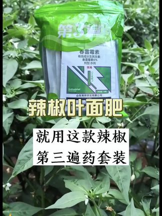 【万稼笑辣椒专用叶面肥】第三遍增产款🌶️- 保花保果高产组合,增产 30% 防落果 #抖音农资好物# 夏季适用 #叶面肥热卖# 辣椒种植必备