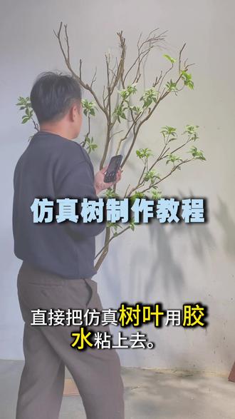 如何制作一棵仿真树 分享仿真树的制作教程
1.挑选好看的树杆
2.修剪一下造型
3.加入仿真叶子
#仿真树
#仿真树制作
#花艺软装
#创作者中心
#创作灵感