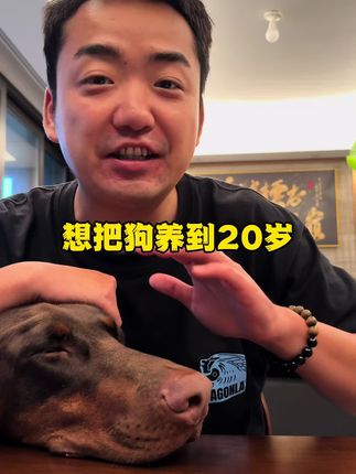 狗狗短寿都是主人喂出来的 #萌宠好物