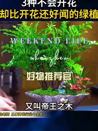 #李羲承符神颜   #李羲承直拍   #李羲承让粉丝闭眼  #李羲承的无线魅力  #穿搭分享