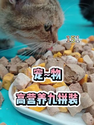 #关注我每天更新作品 #宠物治愈 #新手养宠 #上热门l #热门推荐作品推广