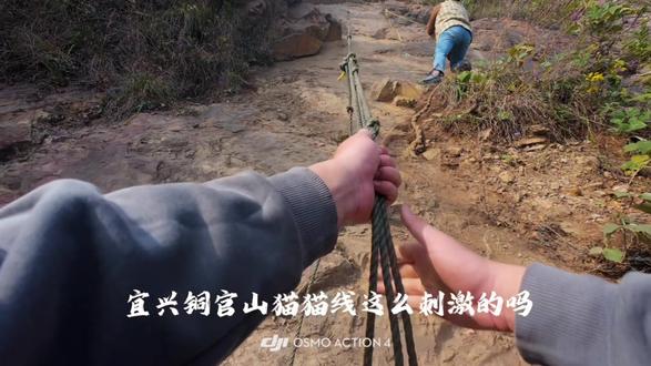 无锡铜官山猫猫线#爬山 #徒步