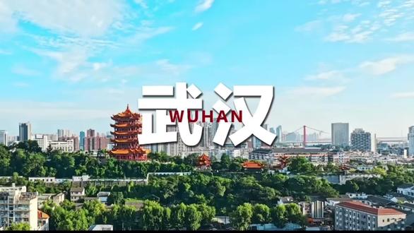时隔两年回归武汉,2026武汉草莓音乐节武汉空港音乐广场,有江汉路,王家湾,光谷广场等地铁海报打卡点 #武汉草莓音乐节 #武汉地铁 #毛不易 #二手玫瑰 #颜人中