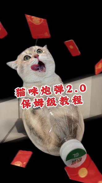 猫咪炮弹(红包版)保姆级教程来了,手把手喂饭。不管拍不拍,赶紧先收藏⭐️#猫咪炮弹教程 #萌宠发射教程#猫咪炮弹 #萌宠发射 #剪映视频制作