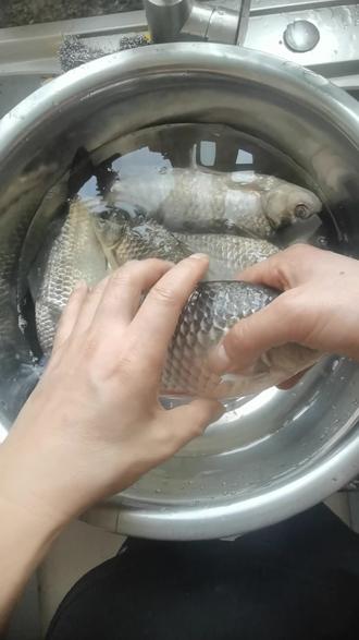 买鲫鱼总分不清野生家养?教你最直观的辨别方法,看一眼就懂,再也不买错!
#野生鲫鱼家养鲫鱼 #买鱼小技巧 #菜市场避坑 #生活小常识 #挑鱼攻略