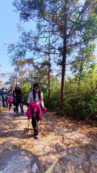 敢问“阁下是哪位?”#这是一种很新的爬山方式 #走进大自然放飞自我 #敢问阁下是什么呢 #徒步登山 #爬山