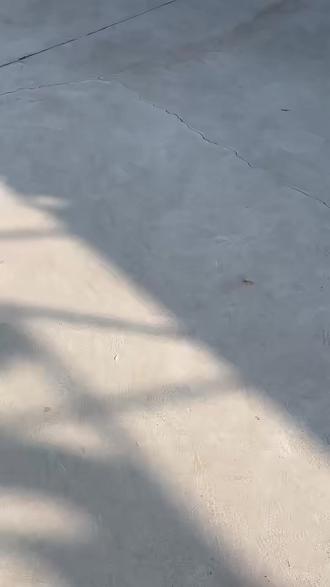 科目二技巧,新手一看就会。#创作者扶持计划 #济南摩托车驾考培训 #摩托车科目二考试