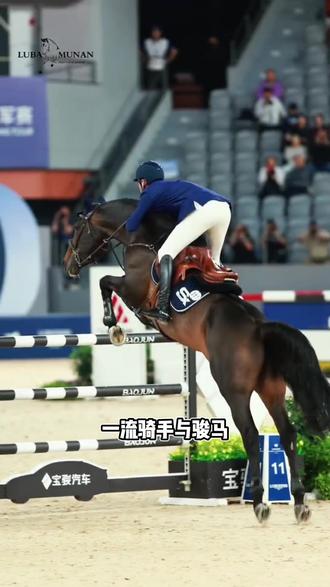 五一来上海看顶级马术!2026浪琴环球马术冠军赛,5.1-5.3久事国际马术中心,今天3月31日12:00准时开票!看骑士与骏马飞跃障碍,感受优雅与力量,赶紧抢票!#上海浪琴环球马术冠军赛 #马术 #环球马术冠军赛#赛马 #上海马术