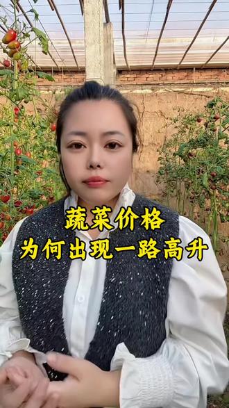 蔬菜价格为啥一路高升#蔬菜价格#蔬菜种植 #三农 #农业种植
