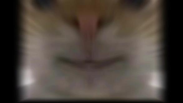 三角洲选护子还是跑刀#三角洲 #三角洲行动