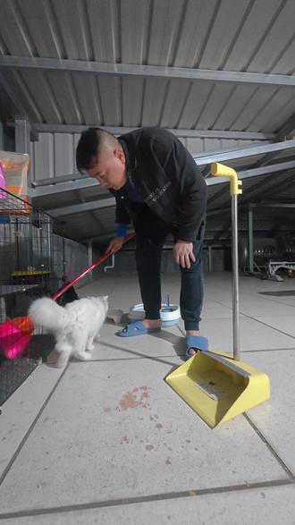 至从家里养了猫生活也忙碌许多