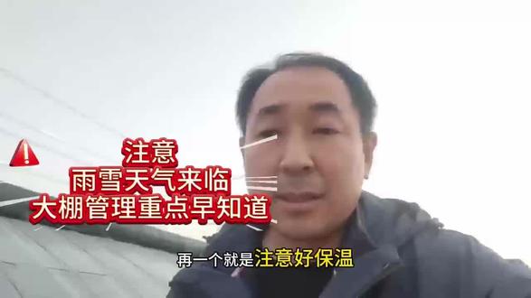 下雪前大棚准备工作要做好