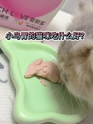 小鸟胃的猫咪吃什么好呢?这款主食猫饭真心不错。#爱那多湿粮 #爱那多 #主食猫饭湿粮 #小奶猫的点点滴滴 #金渐层