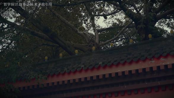 痛苦不是因为失去,是执念于 “必须如愿”。别拿尺子量世界,强求完美只会累自己。#每日分享 #禅悟人生 #智慧人生 #人生感悟 #修行修心