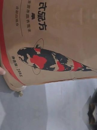 彩锦王渔场大包装锦鲤观赏增色体肥高蛋白不浑水育成料粮配方营养#锦鲤鱼粮 #彩锦王锦鲤饲料 #观赏鱼饲料 #鱼粮 #彩锦王渔场