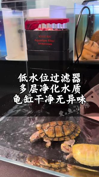 推荐一款低水位龟缸过滤器,多层净化水质让龟缸时刻保持无异味#养龟常备 #养龟必看 #养龟必备好物 #水族