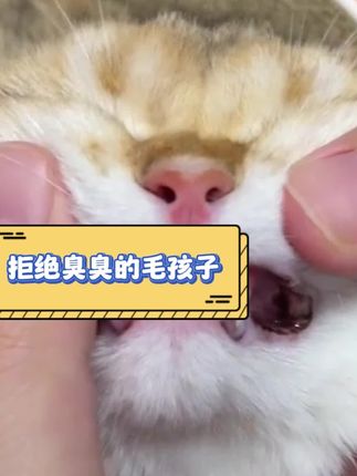 拒绝臭臭的毛孩子#毛孩子的日常 #口气清新 #洁齿冻干