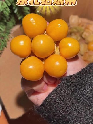 #姑娘果#东北姑娘果#姑娘果推荐