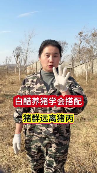 白醋养猪学会搭配,猪丙都赶跑#养猪 #养猪人 #小猪 #母猪