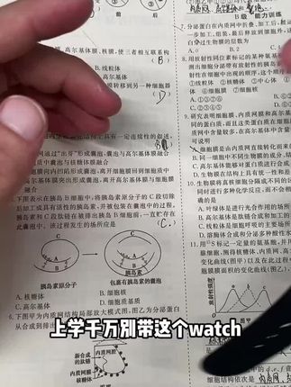 当我把手表带去学校后... #智能手表推荐 #电话手表推荐 #智能手表 #学生党必备 #华强北手表