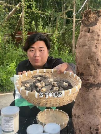 #全进华 #羊肚菌 华仔推荐这款羊肚菌规格是三到五厘米的乖乖啊,是三到五厘米的咱们的羊肚菌下面的那个角角都是给他去了的,不像有些这样给你留这么长的角角的,拍回去之后,煲个汤、炒个菜,放几个进去,他那个菜都比较新鲜。鲜,对,这个确实很鲜,就咱们做的时候不用加鸡精、味精这些调料了#重庆羊肚菌