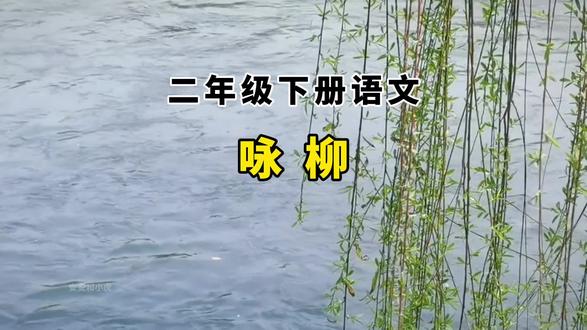 二年级下册语文第一课《古诗二首》之《咏柳》#二年级下册语文#古诗 #咏柳 #课文朗读 #课文动画