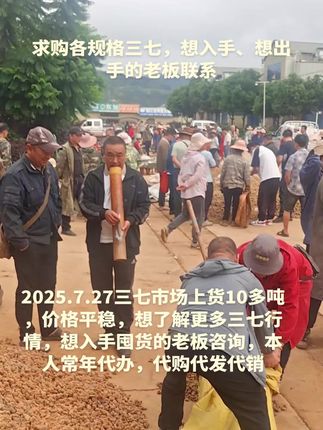 文山三七,产地,想入手囤货的老板把握机会#优质农产品 #上热搜 #新农人计划 #抖音助农 #产地直供 想了解更多三七资讯双击关注