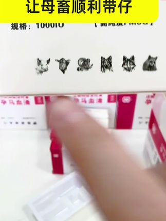#自繁自养 #母猪 #三农