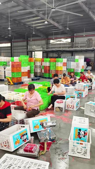 #果乐迪 #专业秭归脐橙外贸供应链 #NFC果汁