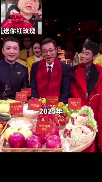 中国工程院院士孙其信2026年春晚演讲