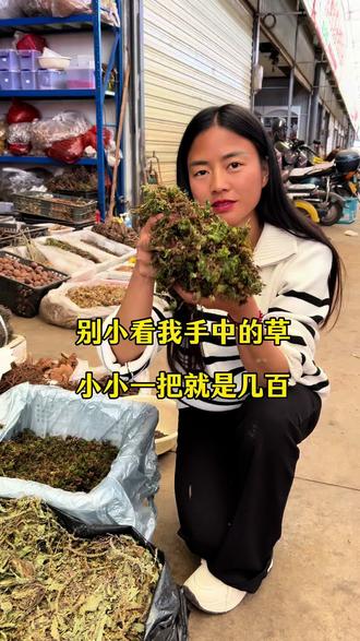 不要小看我手中的这把草,这么小小一把就是上百#回心草#山货#山货集市#野生中药材#野生中草药