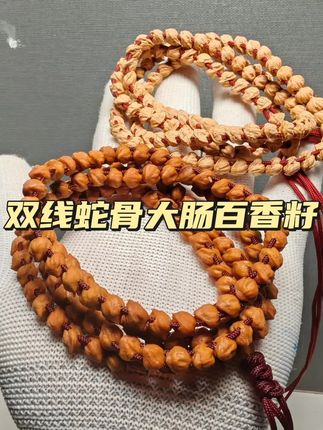 双线蛇骨大肠#百香籽 #柏香籽 #热振寺百香籽